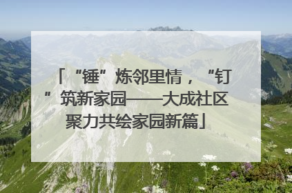 “锤”炼邻里情，“钉”筑新家园——大成社区聚力共绘家园新篇