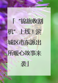 “锦旗收割机”上线！滨城区市东派出所暖心故事来袭