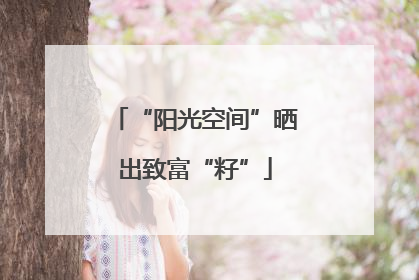 “阳光空间”晒出致富“籽”