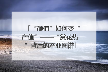 “颜值”如何变“产值”——“赏花热”背后的产业图谱