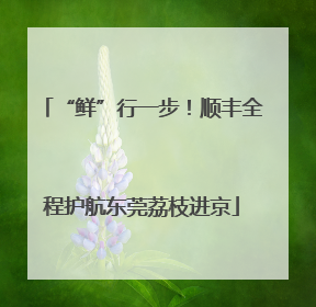 “鲜”行一步！顺丰全程护航东莞荔枝进京