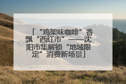 “鸡架味咖啡”香飘“西红市”——沈阳市集解锁“地域限定”消费新场景