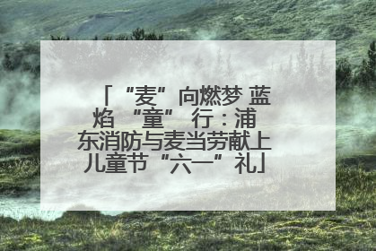 “麦”向燃梦 蓝焰 “童” 行：浦东消防与麦当劳献上儿童节“六一”礼