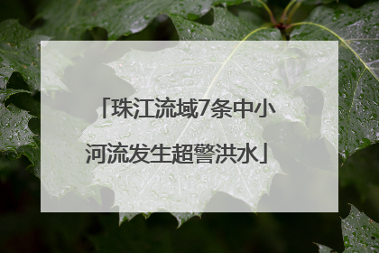 珠江流域7条中小河流发生超警洪水