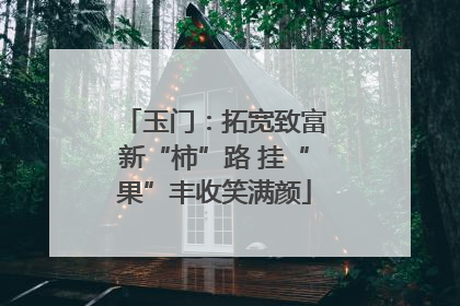 玉门：拓宽致富新“柿”路 挂“果”丰收笑满颜