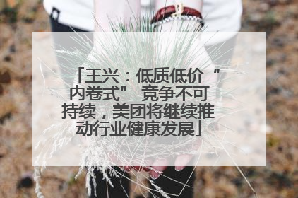 王兴：低质低价“内卷式” 竞争不可持续，美团将继续推动行业健康发展