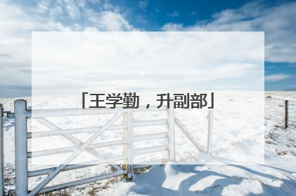 王学勤，升副部