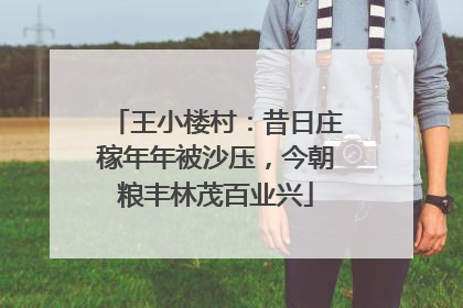 王小楼村：昔日庄稼年年被沙压，今朝粮丰林茂百业兴