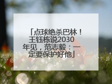 点球绝杀巴林！王钰栋说2030年见，范志毅：一定要保护好他