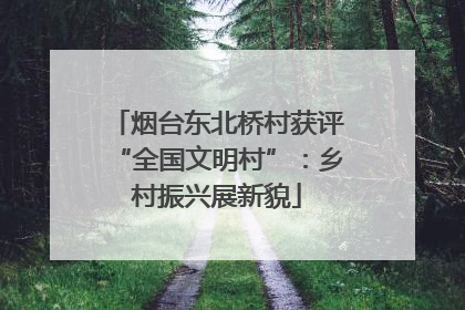烟台东北桥村获评“全国文明村”：乡村振兴展新貌