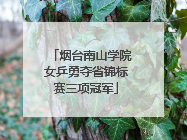 烟台南山学院女乒勇夺省锦标赛三项冠军