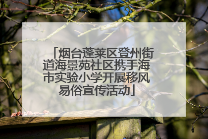烟台蓬莱区登州街道海景苑社区携手海市实验小学开展移风易俗宣传活动