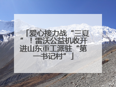 爱心接力战“三夏”！雷沃公益机收开进山东重工派驻“第一书记村”