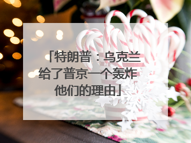 特朗普：乌克兰给了普京一个轰炸他们的理由