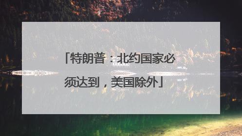 特朗普：北约国家必须达到，美国除外