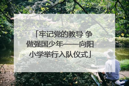 牢记党的教导 争做强国少年——向阳小学举行入队仪式