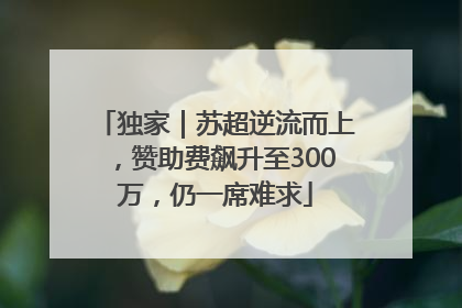 独家｜苏超逆流而上，赞助费飙升至300万，仍一席难求