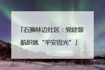 石狮林边社区：党建领航织就“平安霞光”