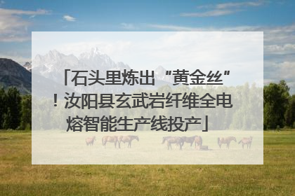 石头里炼出“黄金丝”！汝阳县玄武岩纤维全电熔智能生产线投产