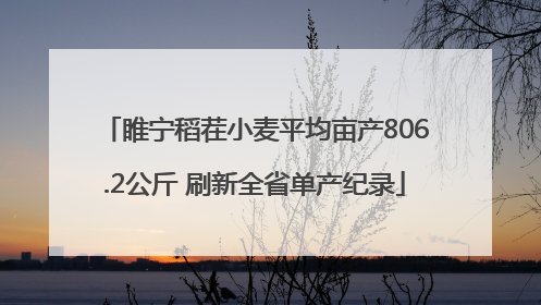睢宁稻茬小麦平均亩产806.2公斤 刷新全省单产纪录