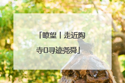 瞭望丨走近陶寺 寻迹尧舜
