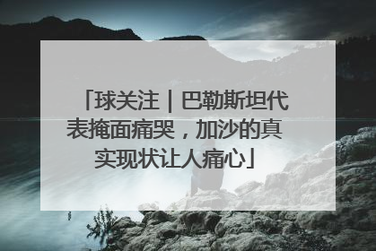 球关注｜巴勒斯坦代表掩面痛哭，加沙的真实现状让人痛心