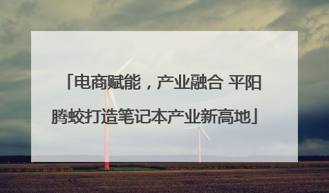 电商赋能，产业融合 平阳腾蛟打造笔记本产业新高地