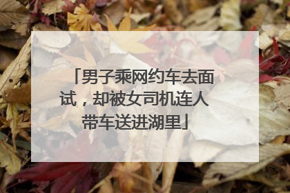 男子乘网约车去面试，却被女司机连人带车送进湖里