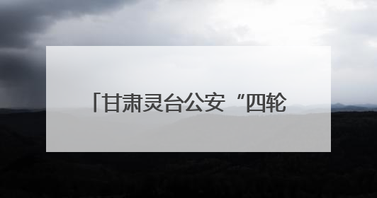 甘肃灵台公安“四轮驱动”砺精兵 战训融合筑牢平安基石