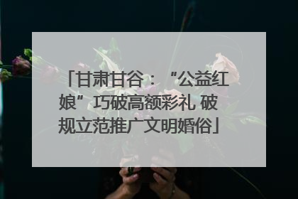 甘肃甘谷：“公益红娘”巧破高额彩礼 破规立范推广文明婚俗