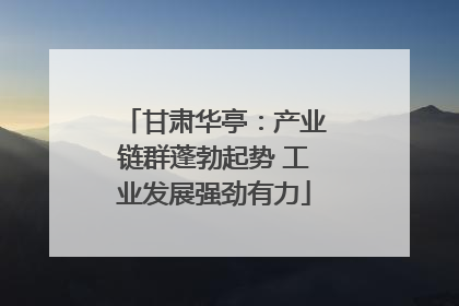 甘肃华亭：产业链群蓬勃起势 工业发展强劲有力