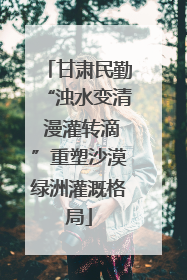 甘肃民勤“浊水变清 漫灌转滴”重塑沙漠绿洲灌溉格局