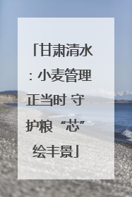 甘肃清水：小麦管理正当时 守护粮“芯”绘丰景
