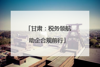 甘肃：税务领航 助企合规前行