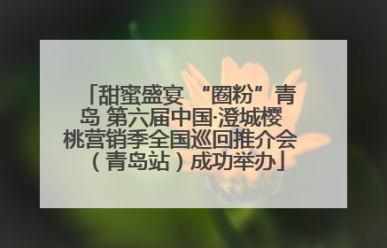 甜蜜盛宴 “圈粉”青岛 第六届中国·澄城樱桃营销季全国巡回推介会（青岛站）成功举办