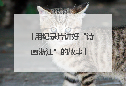 用纪录片讲好“诗画浙江”的故事