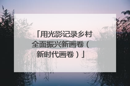 用光影记录乡村全面振兴新画卷（新时代画卷）