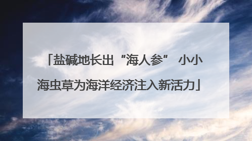 盐碱地长出“海人参” 小小海虫草为海洋经济注入新活力