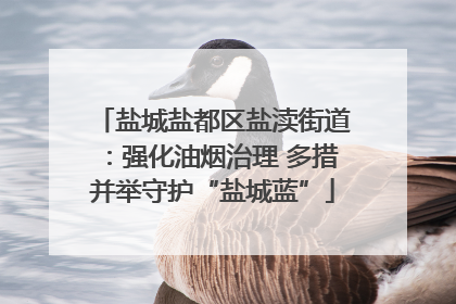 盐城盐都区盐渎街道：强化油烟治理 多措并举守护“盐城蓝”