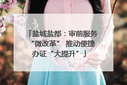 盐城盐都：审前服务“微改革” 推动便捷办证“大提升”