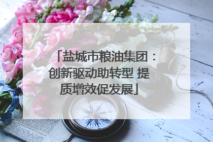 盐城市粮油集团：创新驱动助转型 提质增效促发展