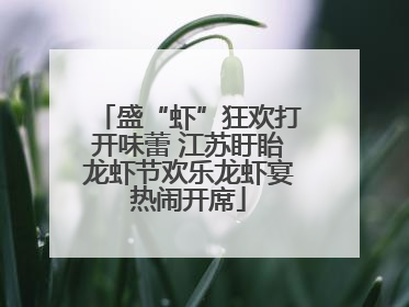 盛“虾”狂欢打开味蕾 江苏盱眙龙虾节欢乐龙虾宴热闹开席