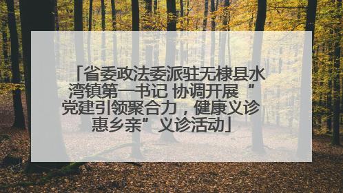 省委政法委派驻无棣县水湾镇第一书记 协调开展“党建引领聚合力，健康义诊惠乡亲”义诊活动