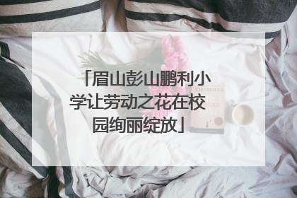 眉山彭山鹏利小学让劳动之花在校园绚丽绽放