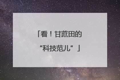 看！甘蔗田的“科技范儿”