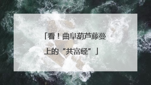 看！曲阜葫芦藤蔓上的“共富经”