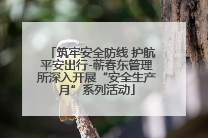筑牢安全防线 护航平安出行-蕲春东管理所深入开展“安全生产月”系列活动