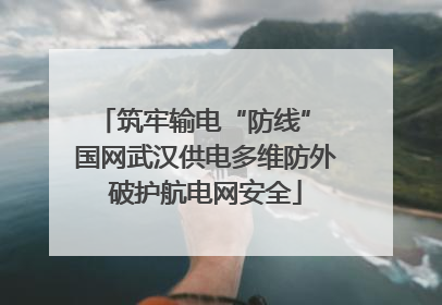 筑牢输电“防线” 国网武汉供电多维防外破护航电网安全
