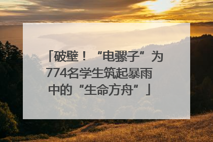破壁！“电骡子”为774名学生筑起暴雨中的“生命方舟”