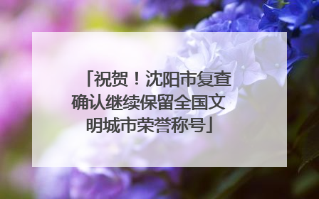 祝贺！沈阳市复查确认继续保留全国文明城市荣誉称号